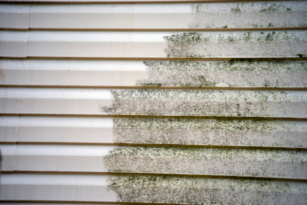 James Hardie Siding in Park River, ND
