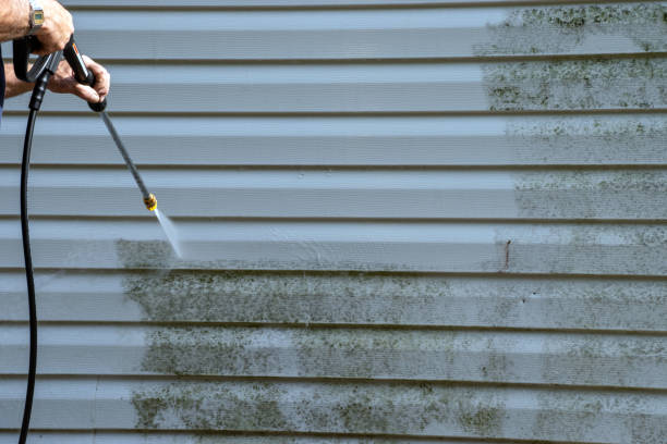 Affordable siding repair and maintenance services in Park River, ND
