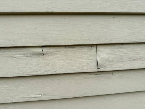Best Fiber Cement Siding Installation  in Park River, ND